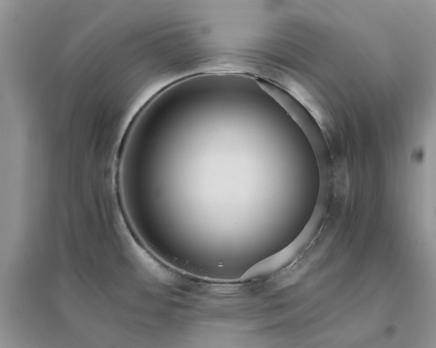 X0000096401484200802071549