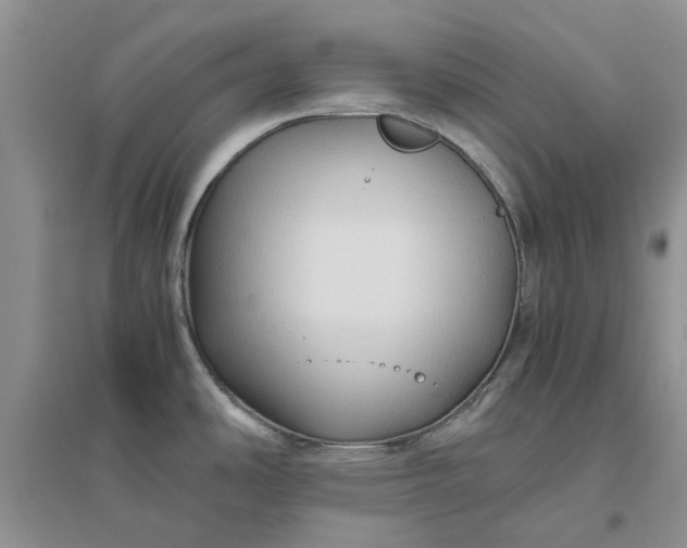 X0000096401486200802071549