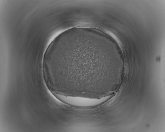 X0000096401487200802071549