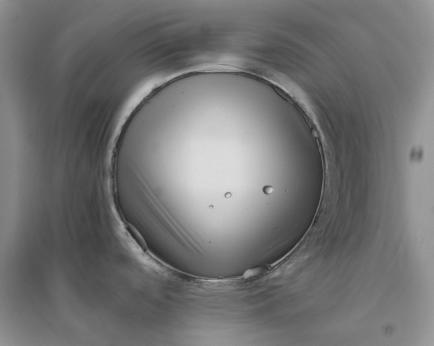 X0000096401488200802071549