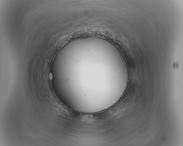 X0000096401489200802071548