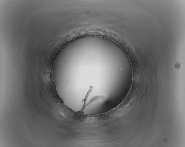 X0000096401490200802071548