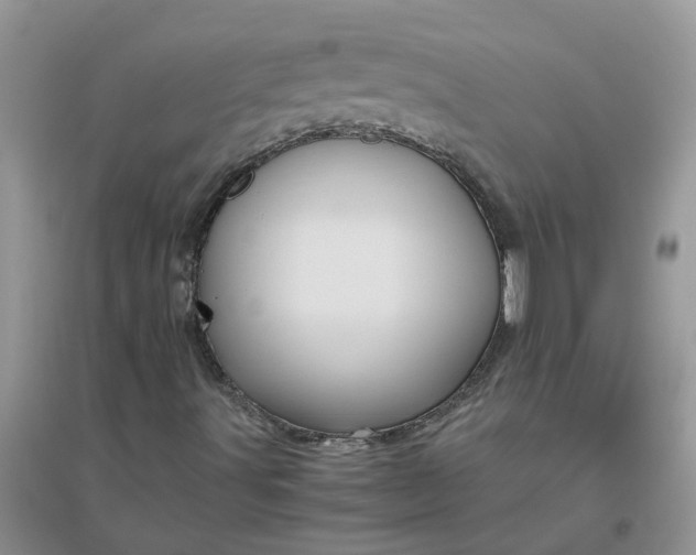 X0000096401491200802071548