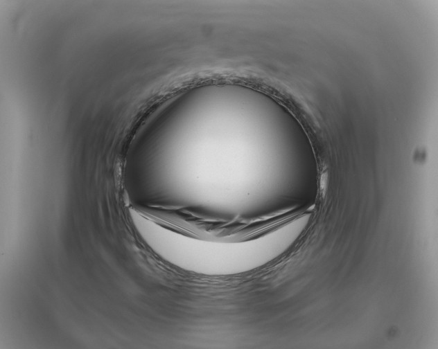 X0000096401492200802071548