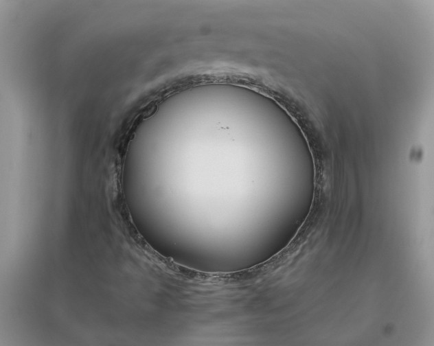 X0000096401493200802071548