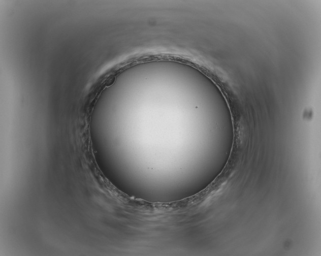 X0000096401494200802071548