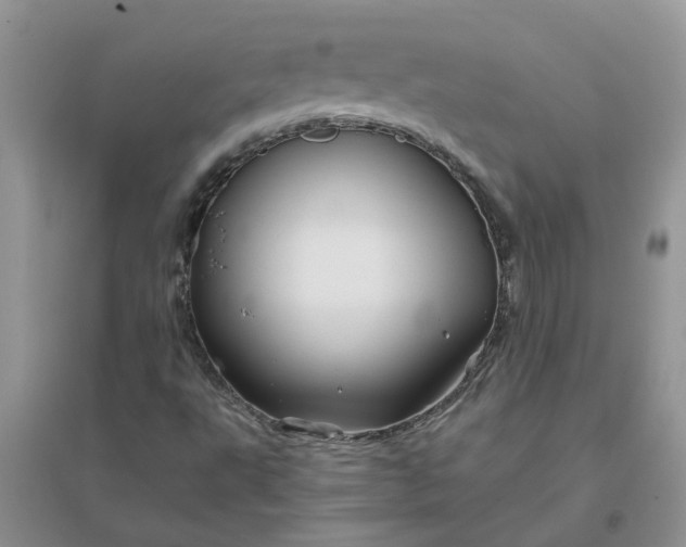 X0000096401495200802071548