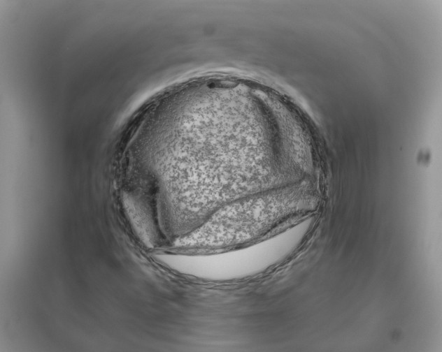 X0000096401496200802071548