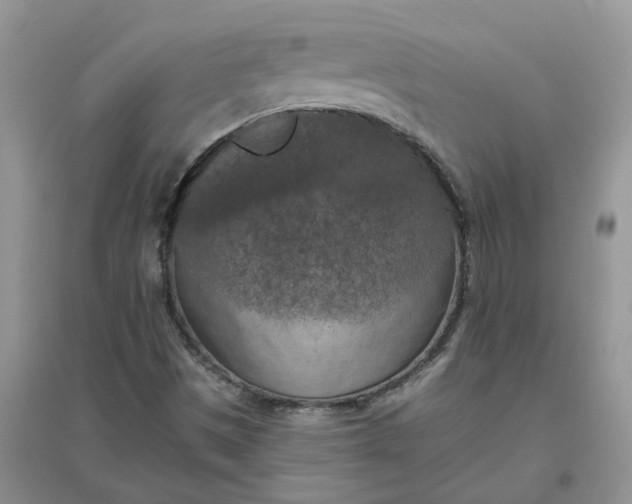 X0000096401497200802071548