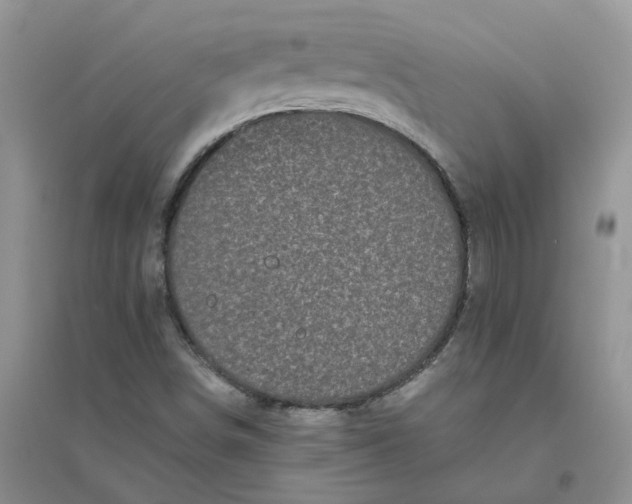 X0000096401498200802071548