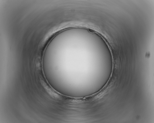 X0000096401499200802071549