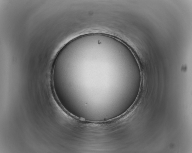 X0000096401500200802071549