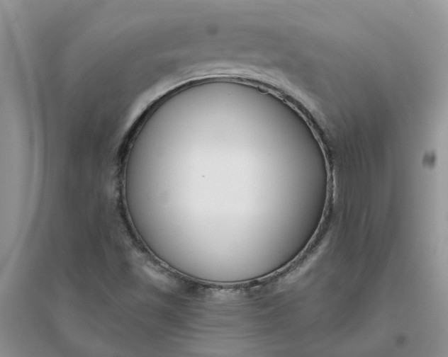 X0000096401501200802071549