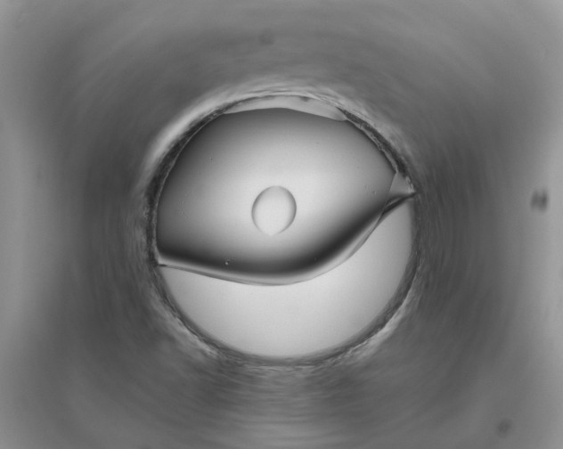 X0000096401502200802071549