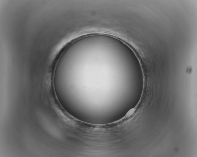 X0000096401503200802071549