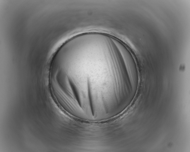 X0000096401504200802071549