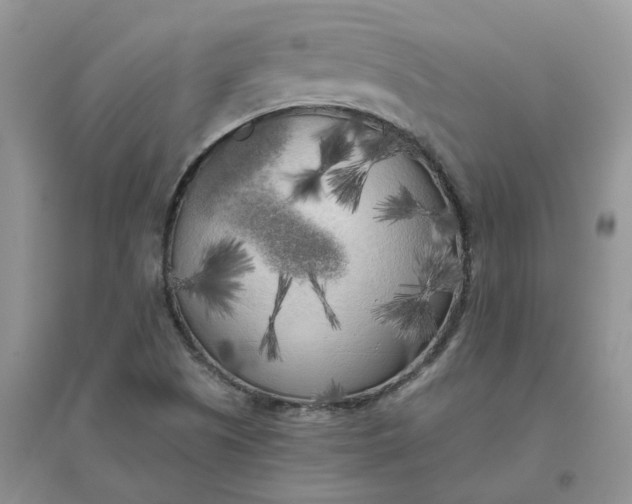 X0000096401505200802071549