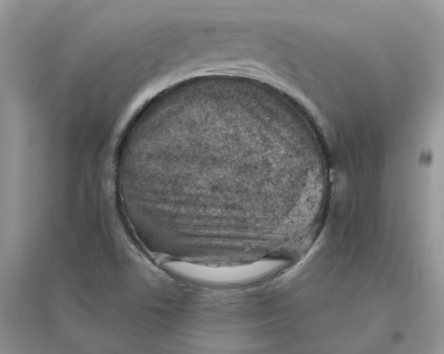 X0000096401506200802071549