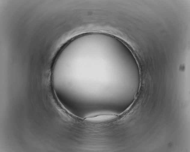 X0000096401507200802071549