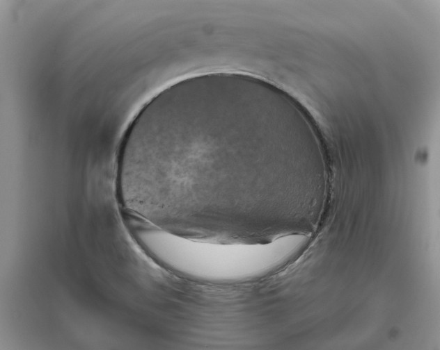 X0000096401508200802071549