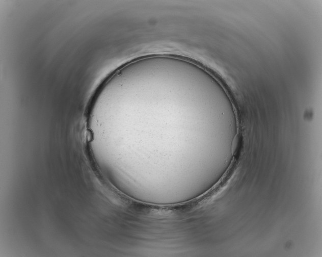 X0000096401509200802071549