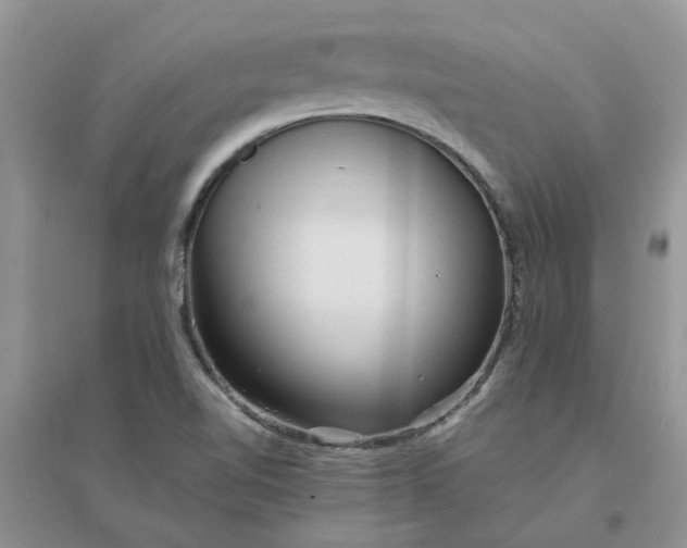 X0000096401510200802071549