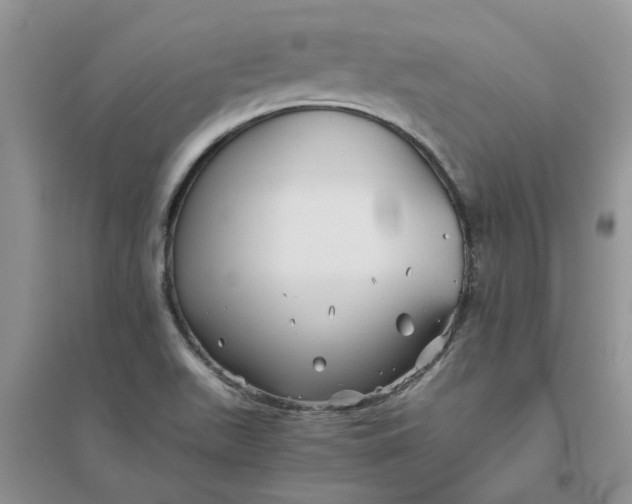 X0000096401511200802071549