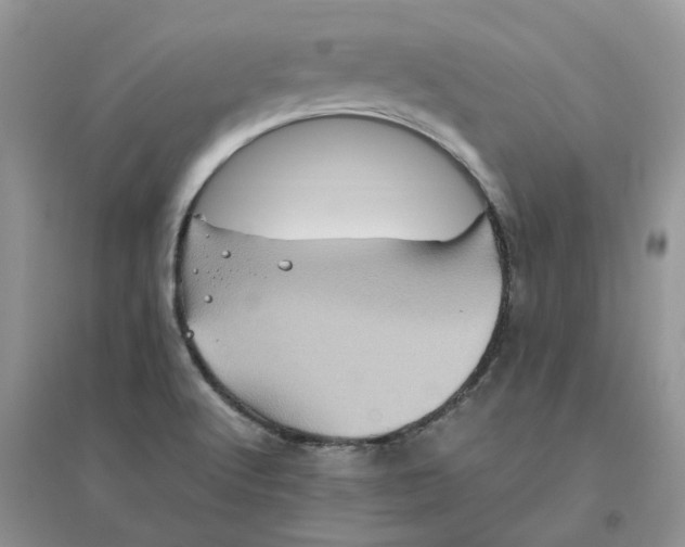 X0000096401512200802071549