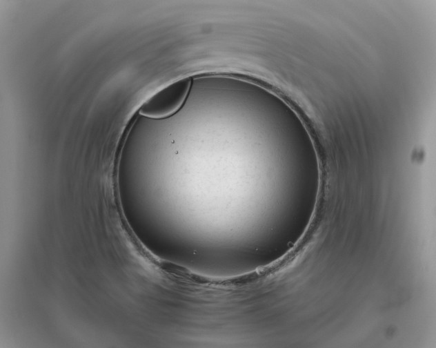 X0000096401513200802071549