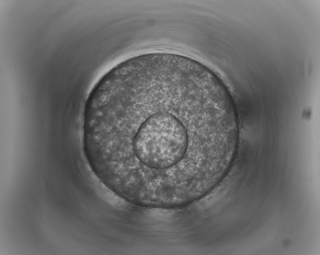 X0000096401514200802071549