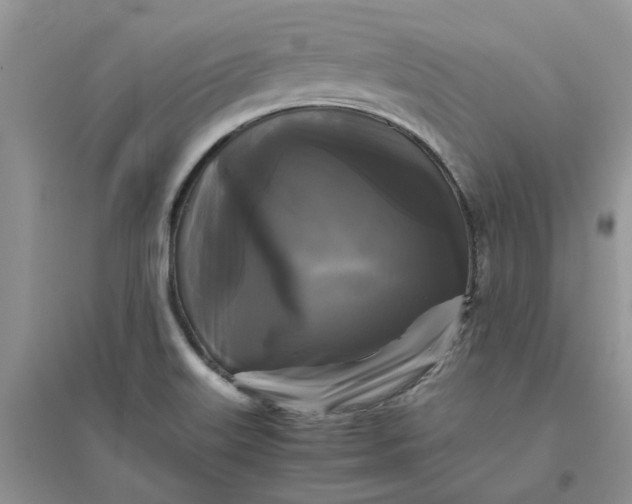 X0000096401515200802071549