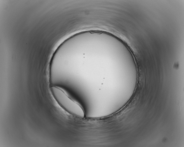 X0000096401516200802071549