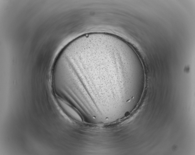 X0000096401517200802071549