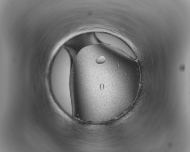 X0000096401518200802071549