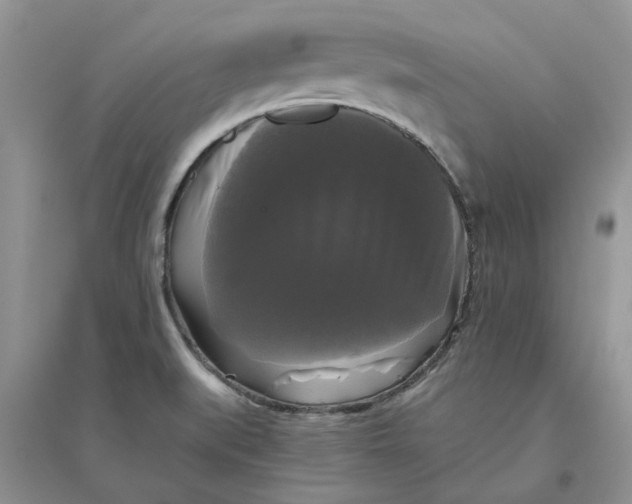 X0000096401519200802071549