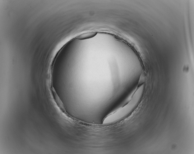 X0000096401520200802071549