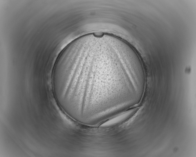 X0000096401521200802071549