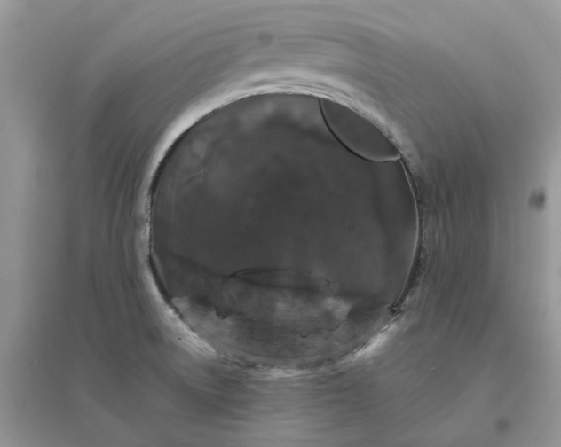 X0000096401522200802071549