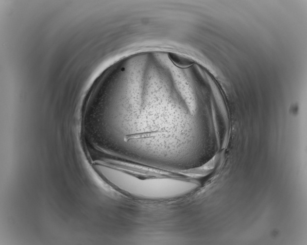 X0000096401523200802071549