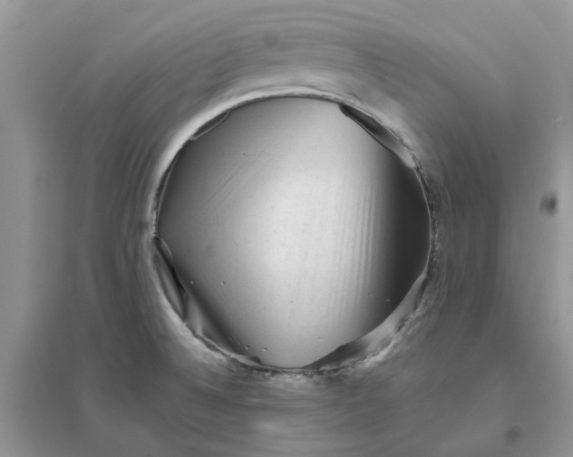 X0000096401524200802071549