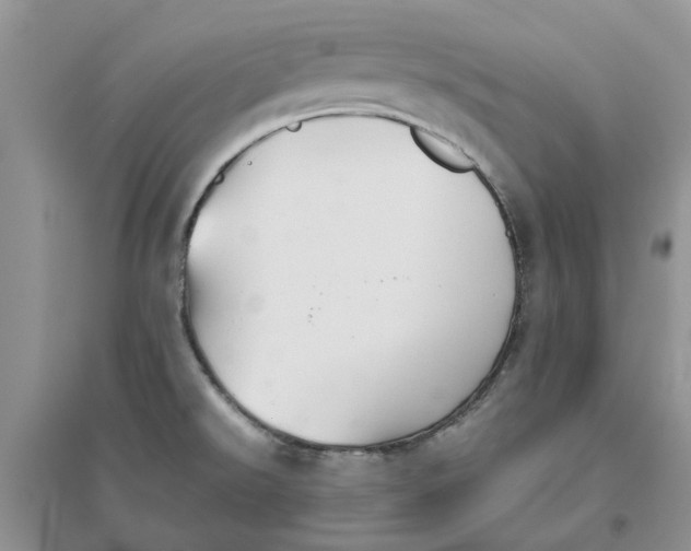 X0000096401526200802071549