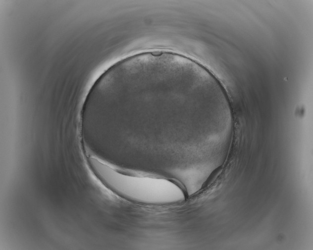 X0000096401527200802071549