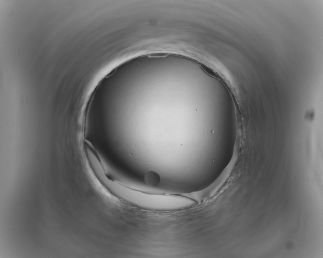 X0000096401528200802071549