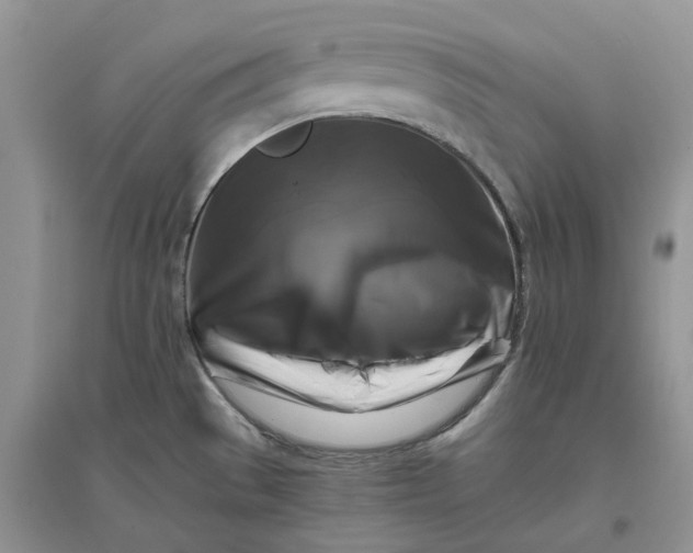 X0000096401529200802071549