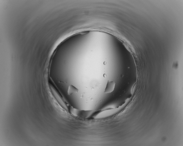 X0000096401530200802071549