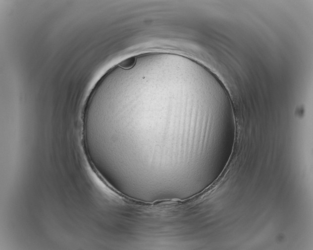 X0000096401531200802071549