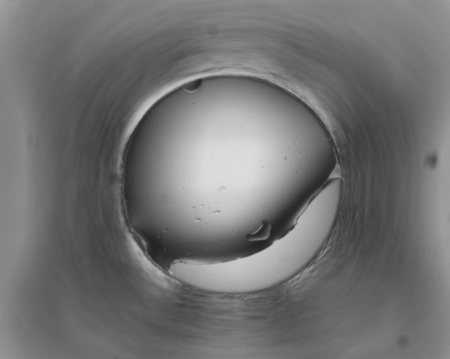 X0000096401532200802071549