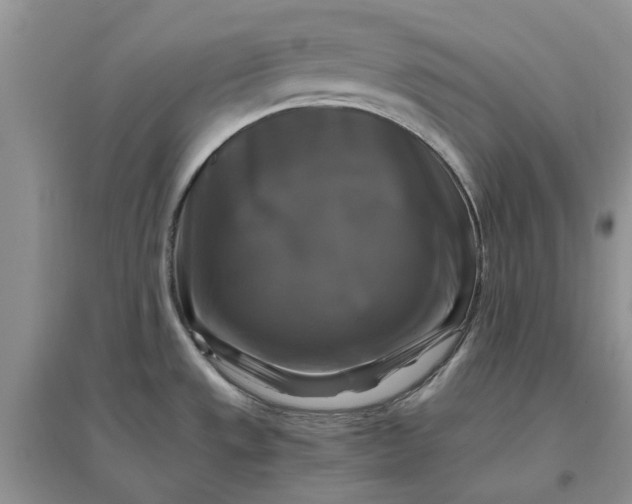 X0000096401533200802071549