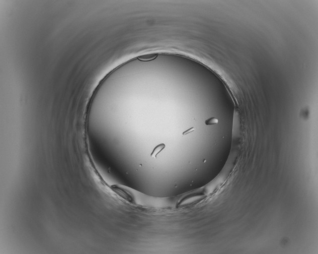 X0000096401534200802071549