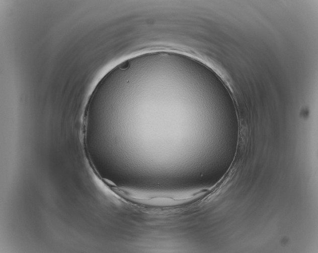 X0000096401535200802071549